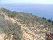 Kokkinos Pirgos Kreta, Kokkinos Pirgos, Agia Galini, gr. Grundstück 130.000qm² mit Panorama Meerblick zu verkaufen Grundstück kaufen